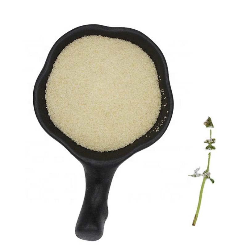 Halal Gelatin 2024 New Arrival Manufacturer Edible Gelatin 25kg/bag 120 240 250 Bloom food grade gelatin powder